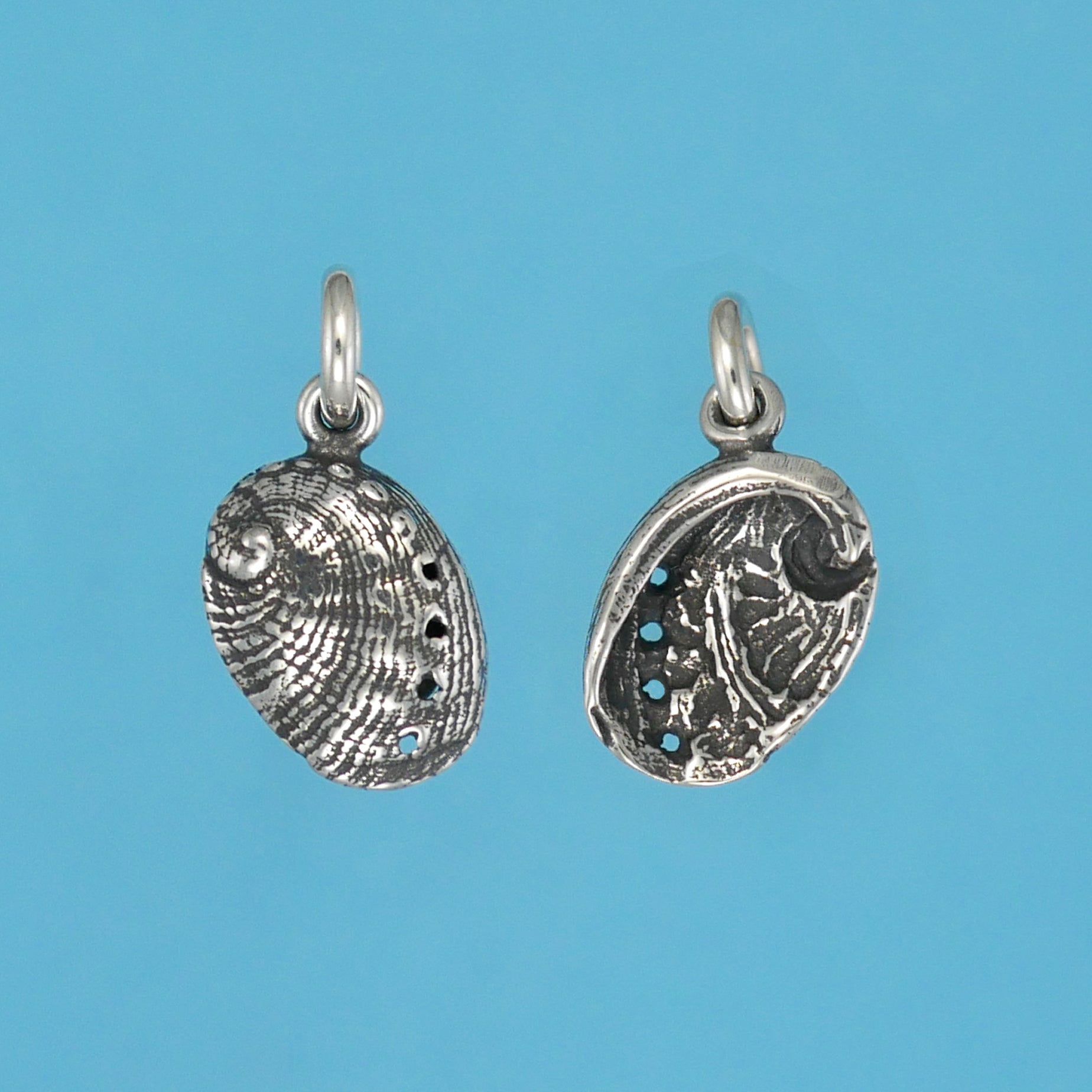Abalone Shell Charm - Charmworks