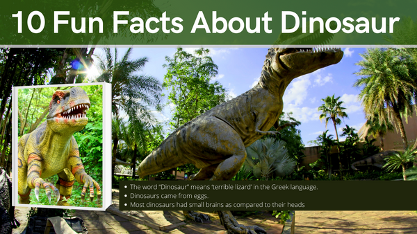 10 Fun facts about Dinosaur