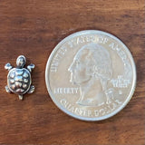 Turtle - CharmWorks