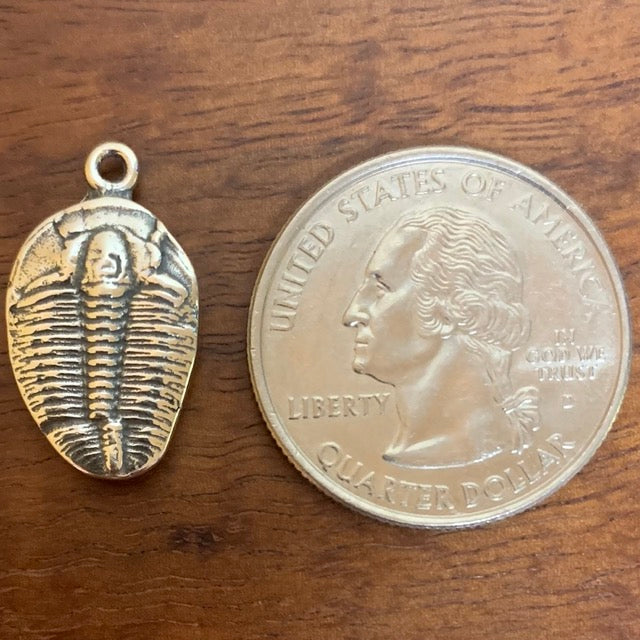 Trilobite Fossil - CharmWorks