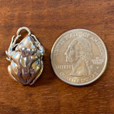 Great Plains Toad - CharmWorks