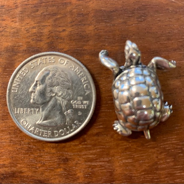 Desert Tortoise - CharmWorks