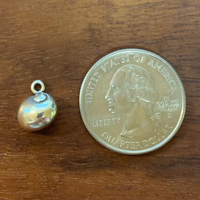 Moon Snail Shell - CharmWorks