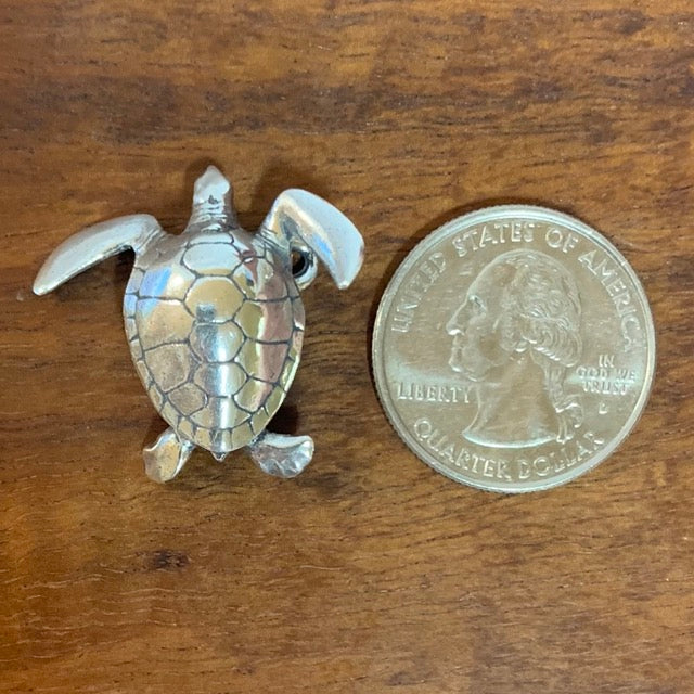 Green Sea Turtle - CharmWorks