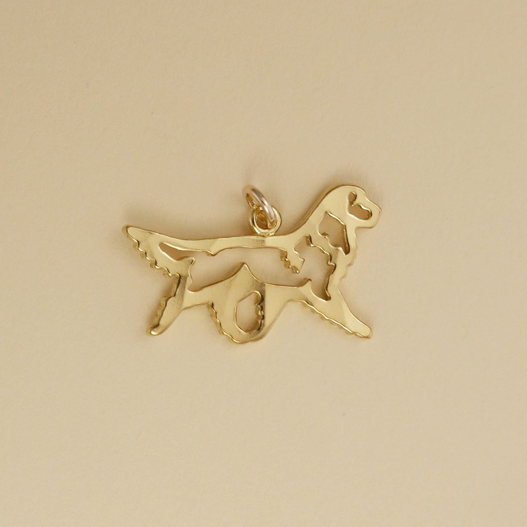 Gaiting Golden Retriever - Charmworks