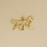 Gaiting Golden Retriever - Charmworks