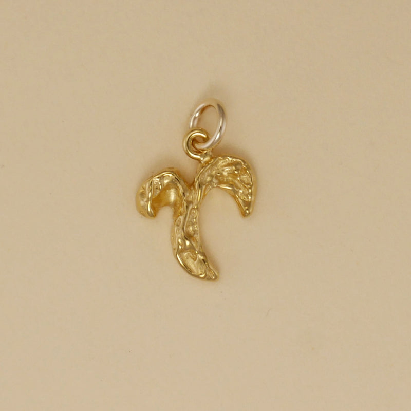 Textured Zodiac Charms - Charmworks