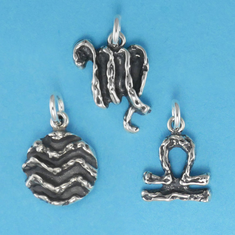 Textured Zodiac Charms - Charmworks