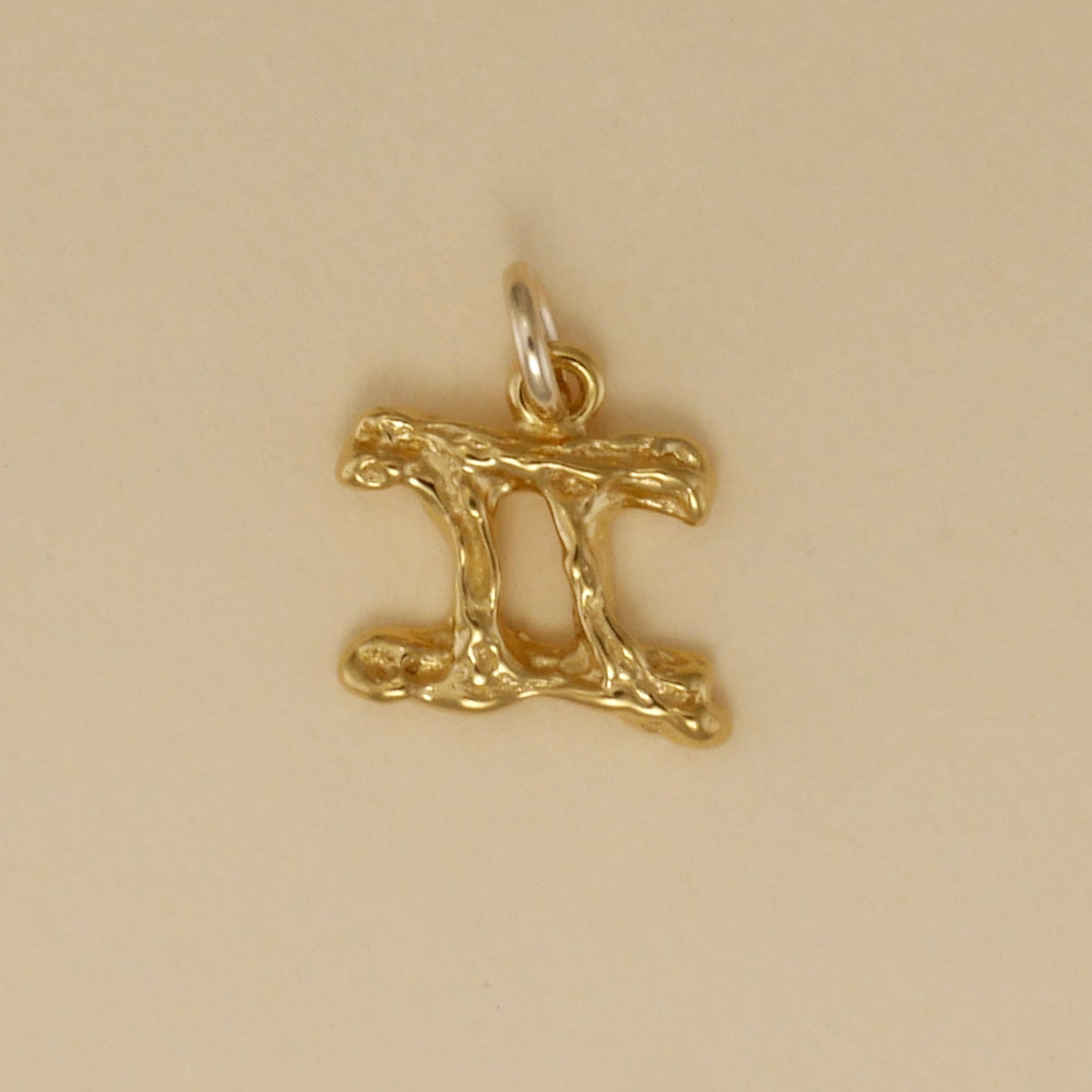 Textured Zodiac Charms - Charmworks
