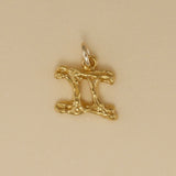 Textured Zodiac Charms - Charmworks