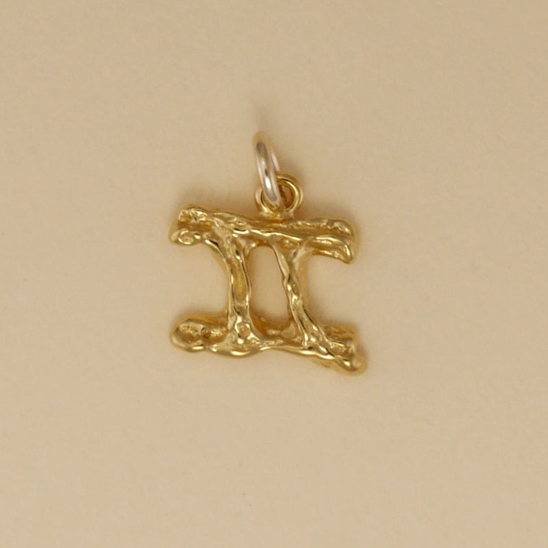 Textured Zodiac Charms - Charmworks
