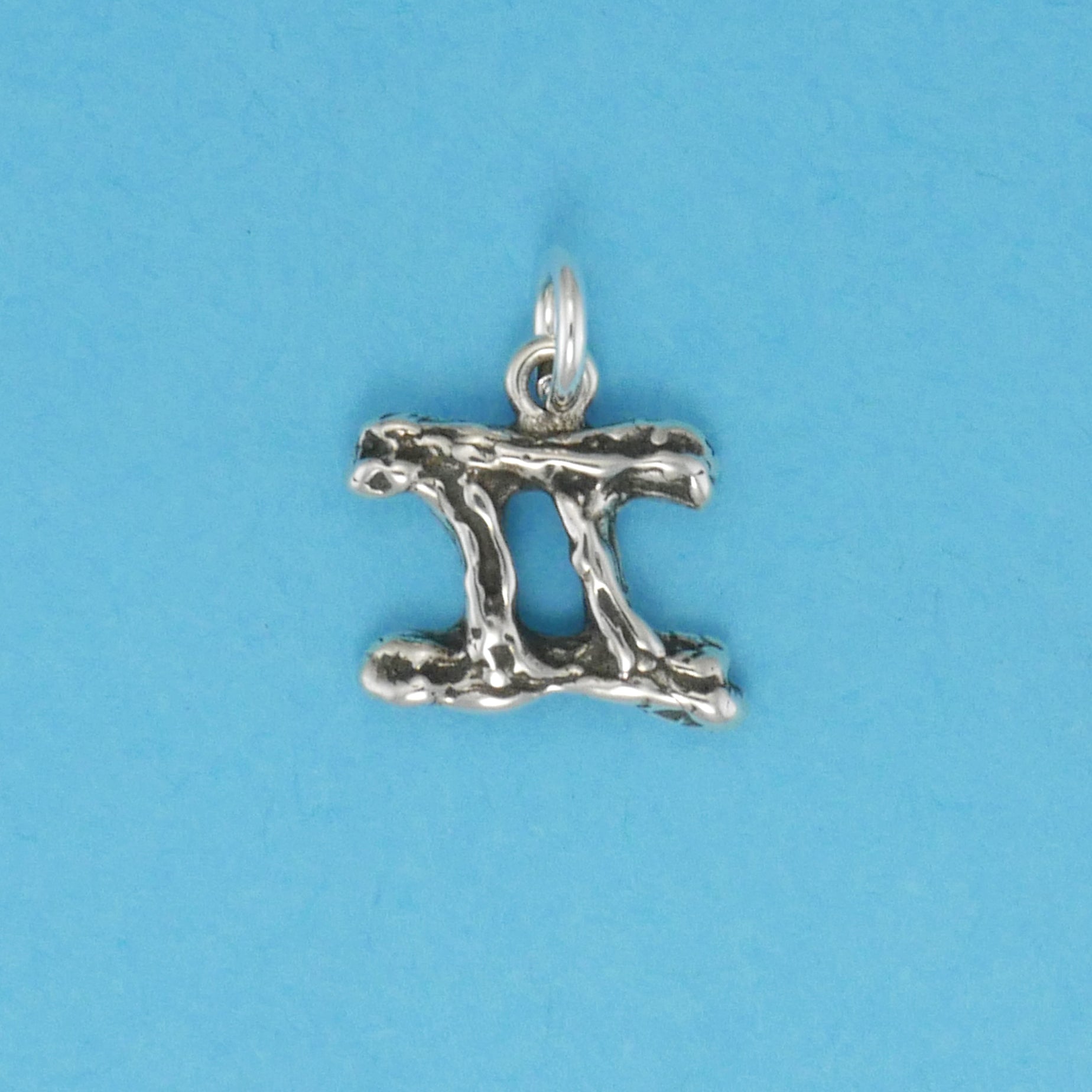 Textured Zodiac Charms - Charmworks