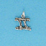 Textured Zodiac Charms - Charmworks