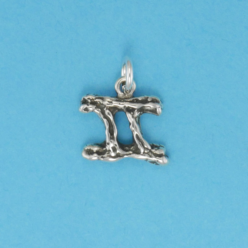 Textured Zodiac Charms - Charmworks