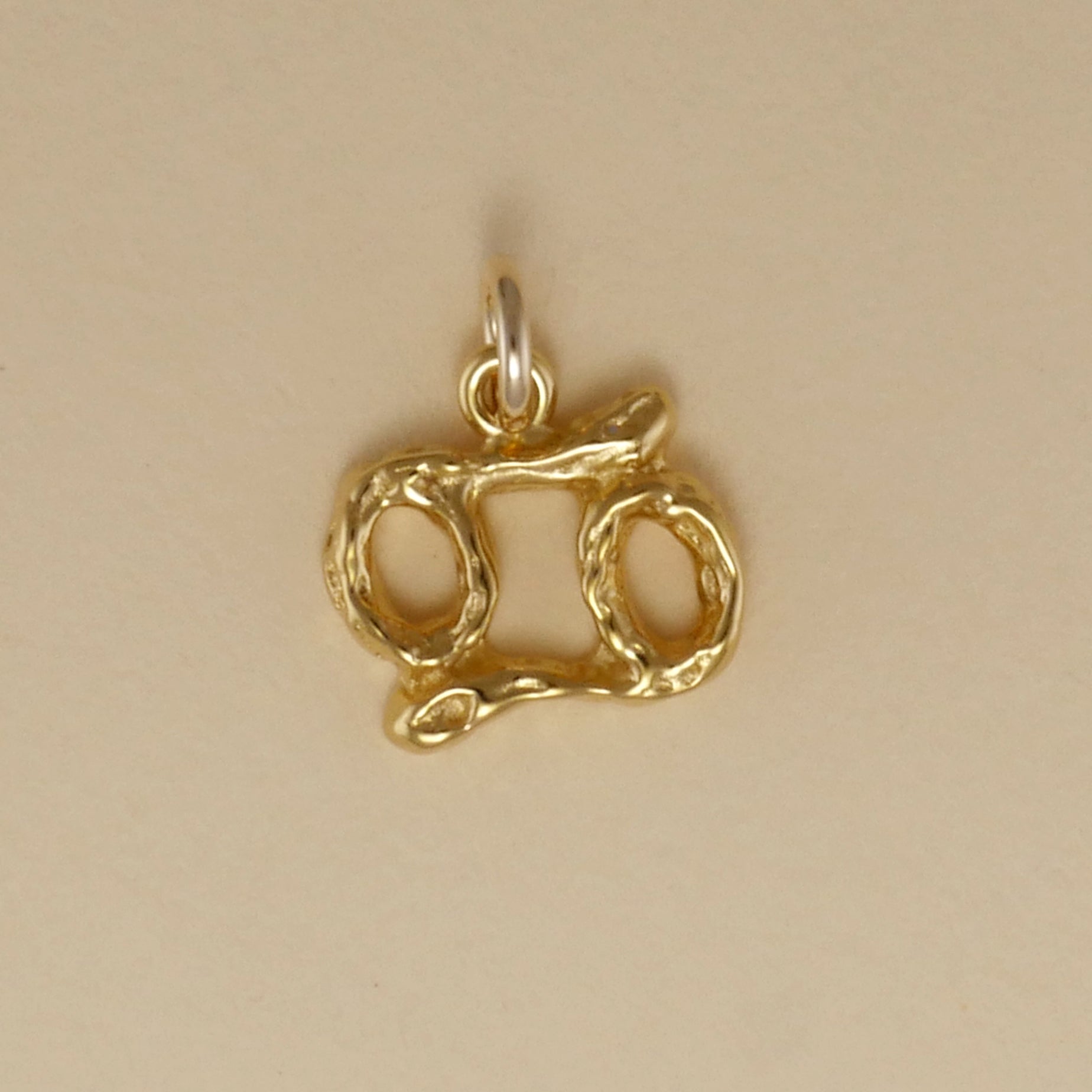 Textured Zodiac Charms - Charmworks