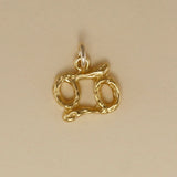 Textured Zodiac Charms - Charmworks