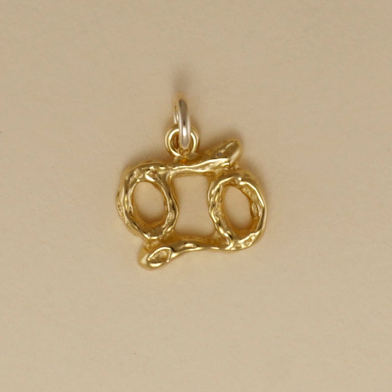 Textured Zodiac Charms - Charmworks
