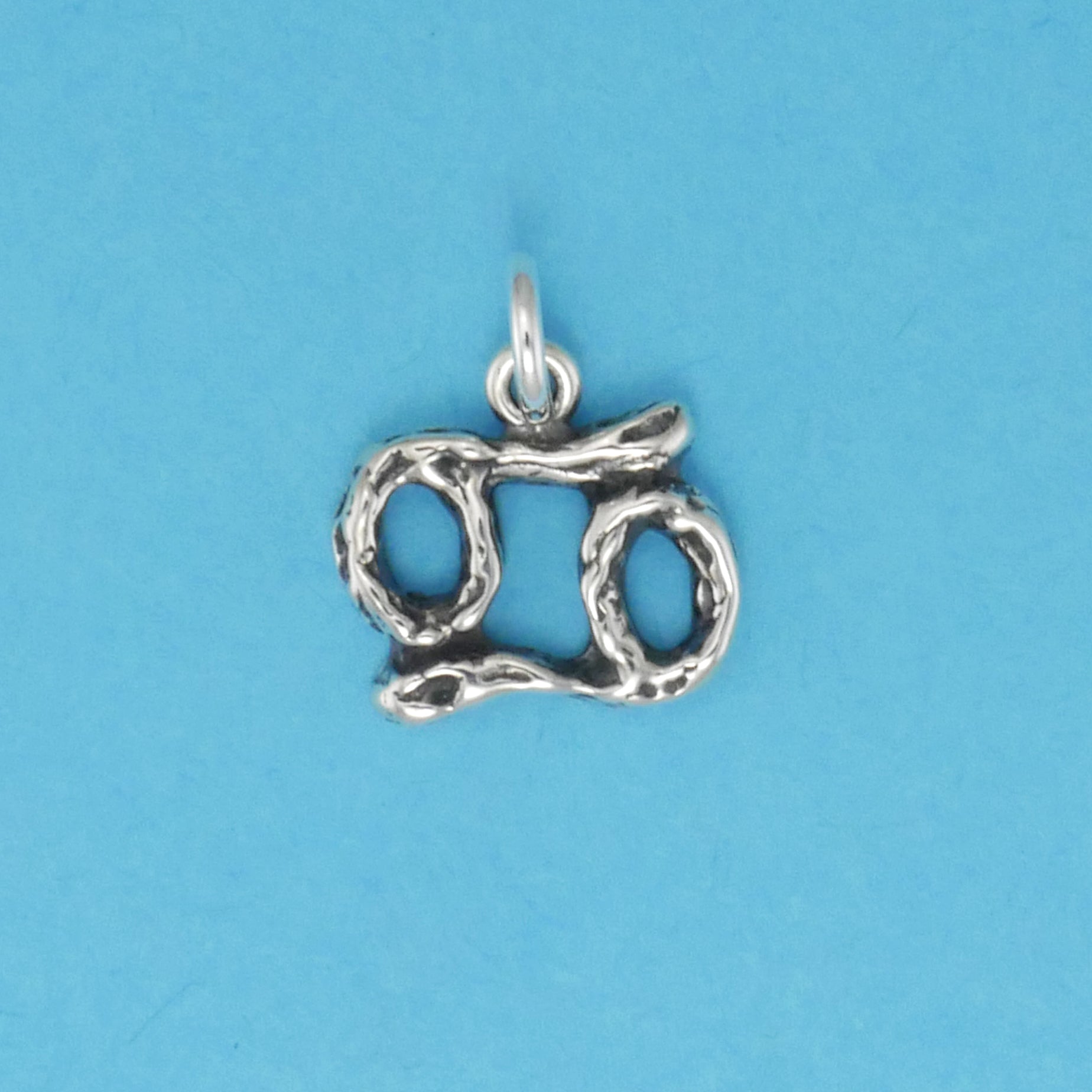 Textured Zodiac Charms - Charmworks