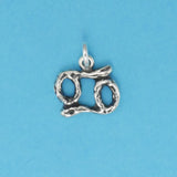 Textured Zodiac Charms - Charmworks