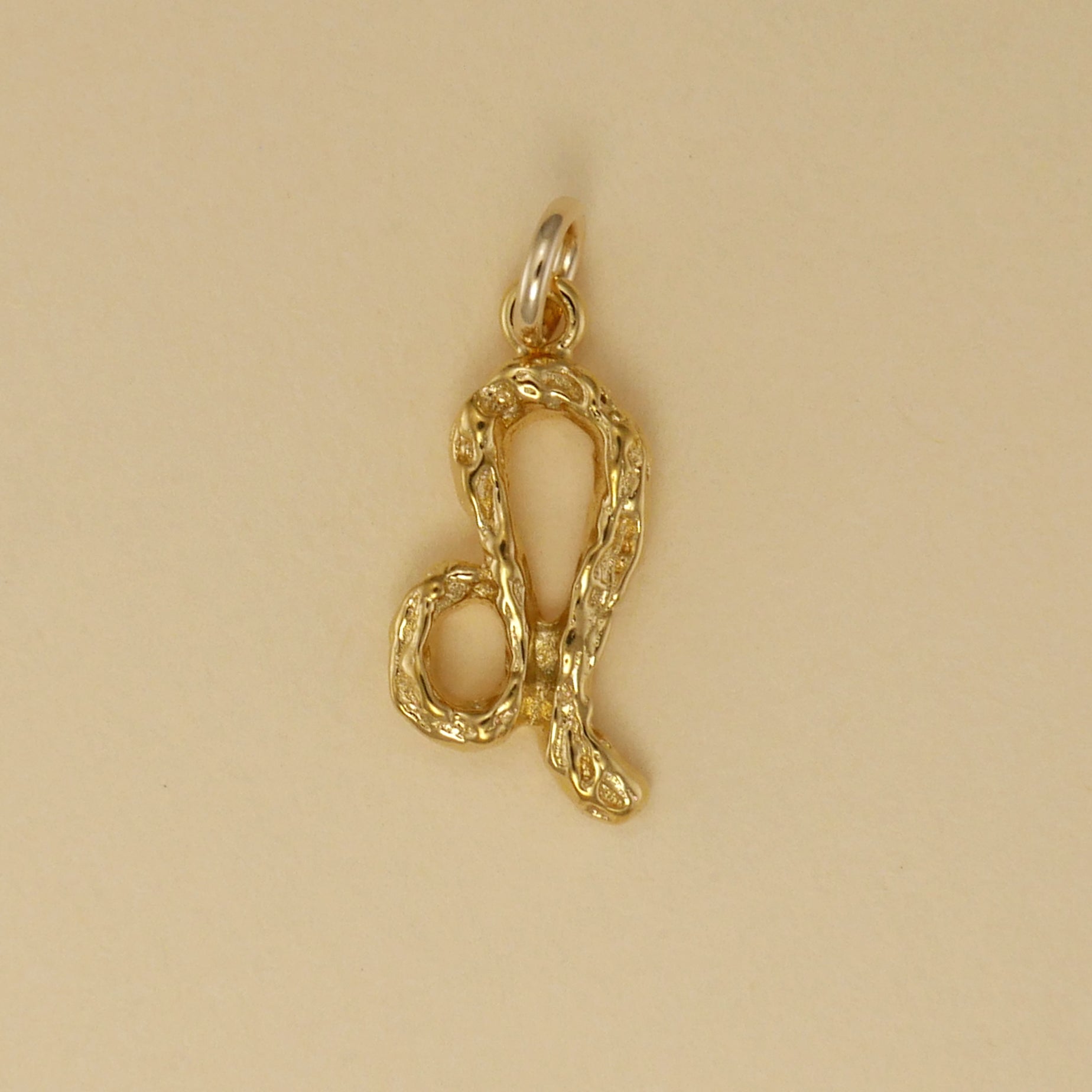 Textured Zodiac Charms - Charmworks