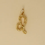 Textured Zodiac Charms - Charmworks