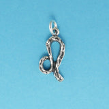 Textured Zodiac Charms - Charmworks