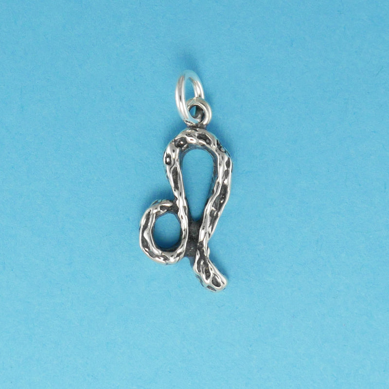 Textured Zodiac Charms - Charmworks