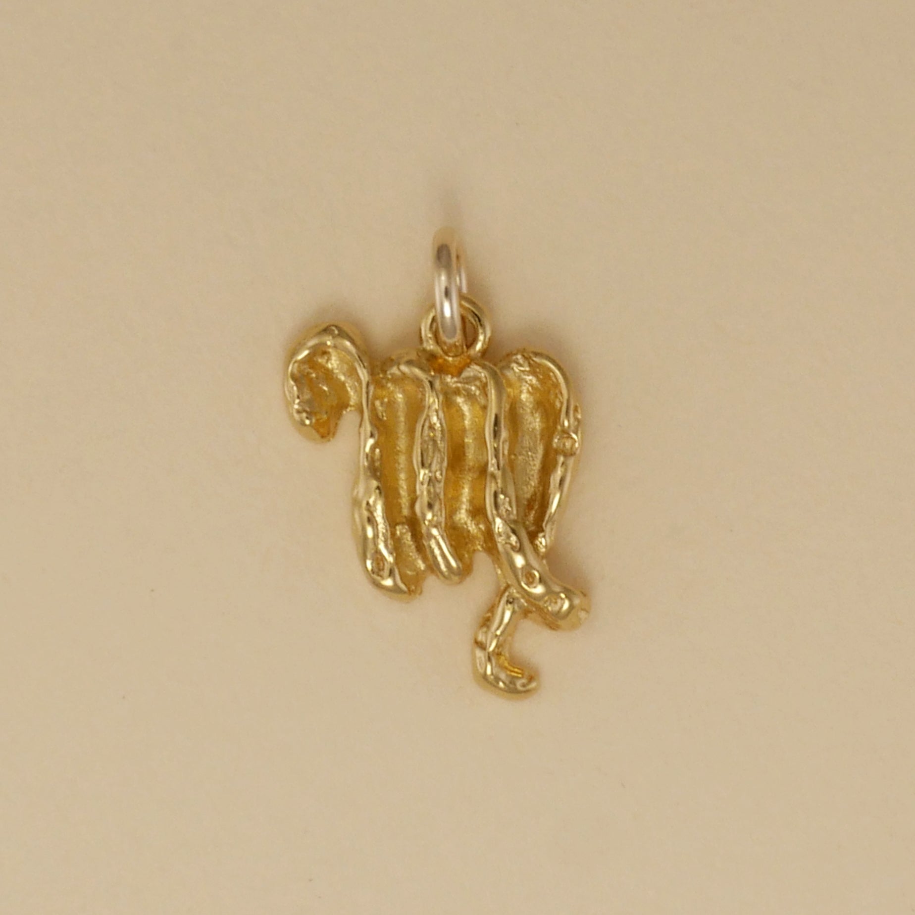 Textured Zodiac Charms - Charmworks