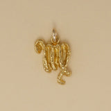 Textured Zodiac Charms - Charmworks
