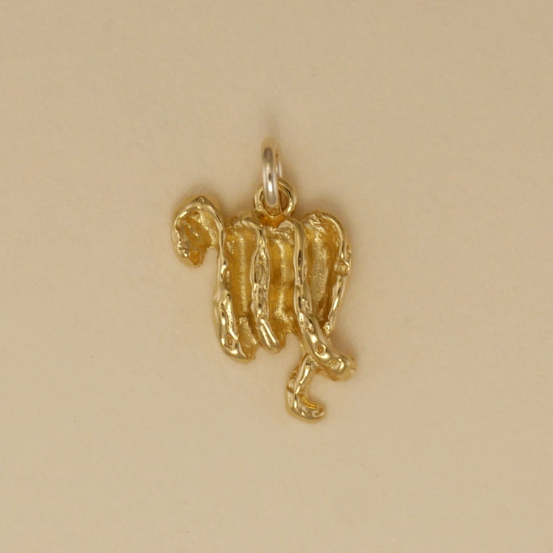 Textured Zodiac Charms - Charmworks