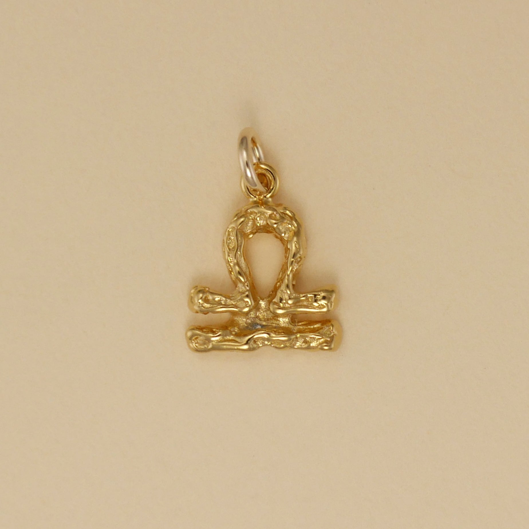 Textured Zodiac Charms - Charmworks