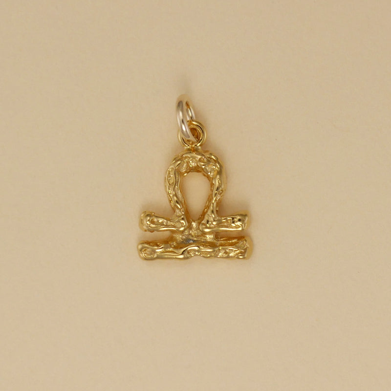 Textured Zodiac Charms - Charmworks