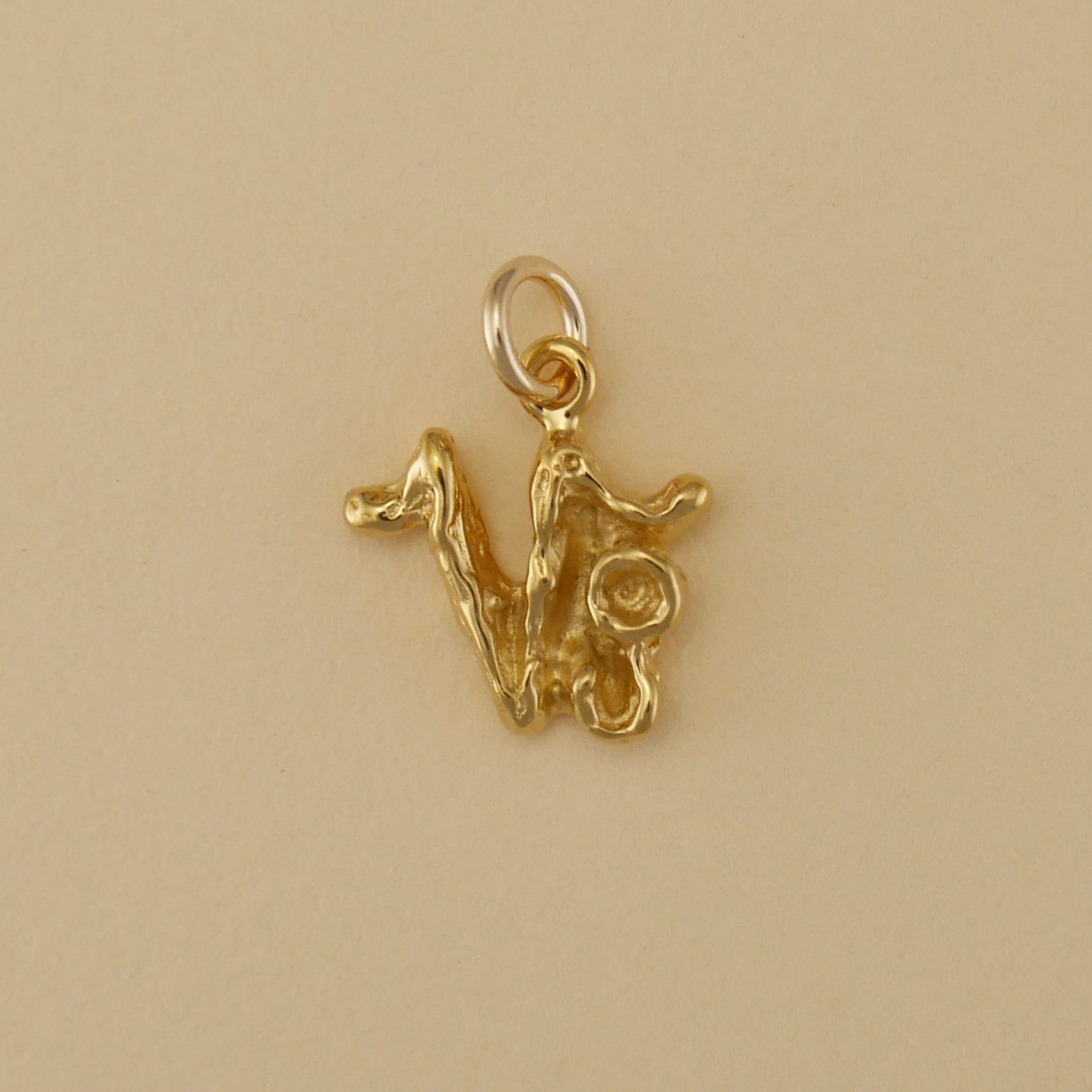 Textured Zodiac Charms - Charmworks