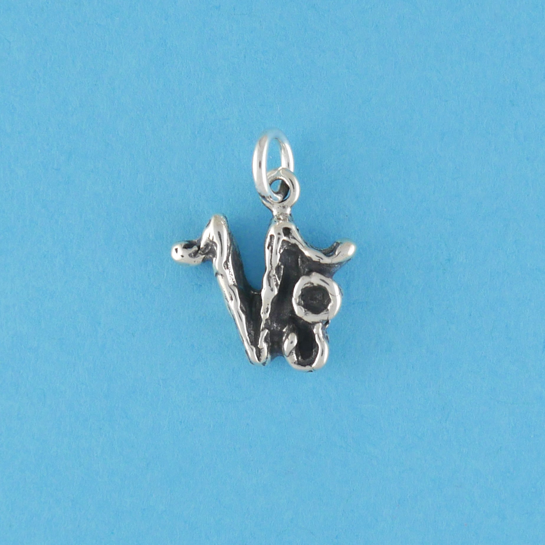 Textured Zodiac Charms - Charmworks