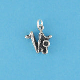 Textured Zodiac Charms - Charmworks