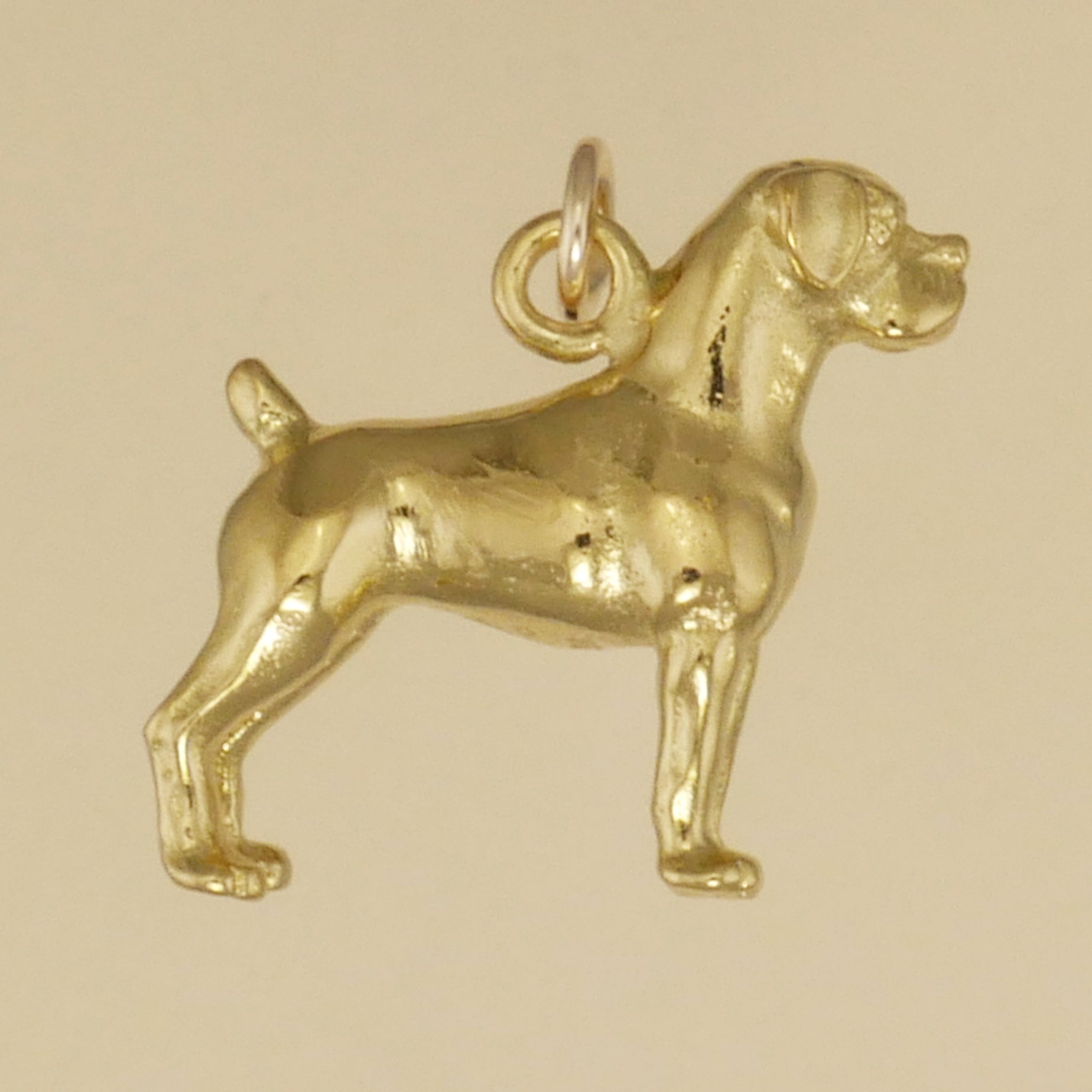 Boxer Charm - Charmworks