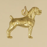 Boxer Charm - Charmworks