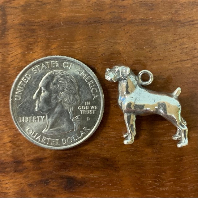 Boxer Dog - Charmworks