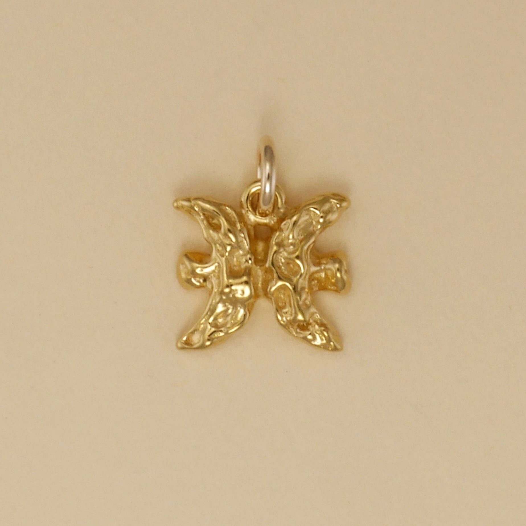 Textured Zodiac Charms - Charmworks