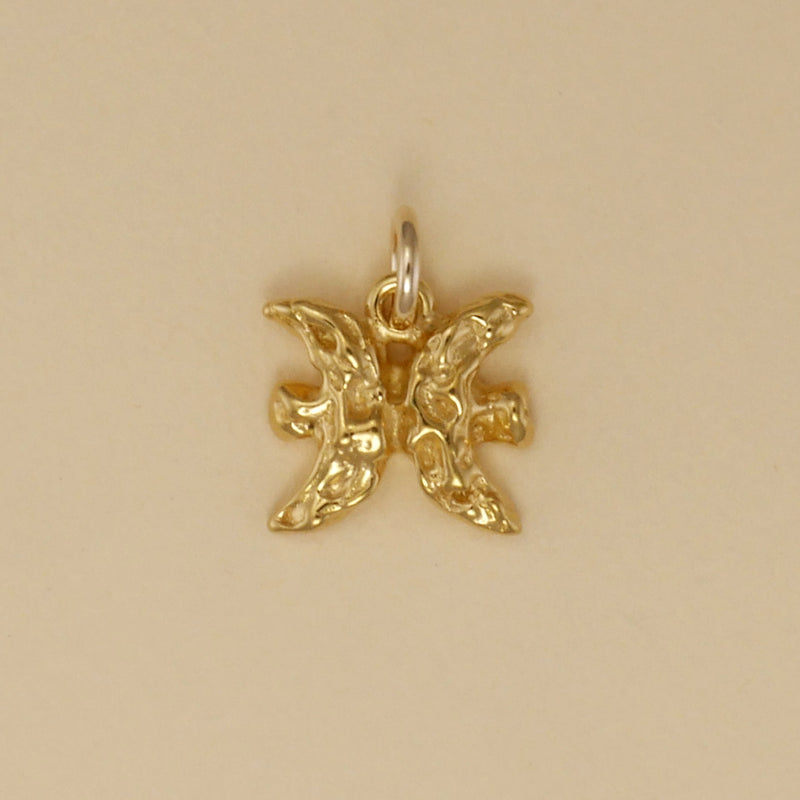 Textured Zodiac Charms - Charmworks