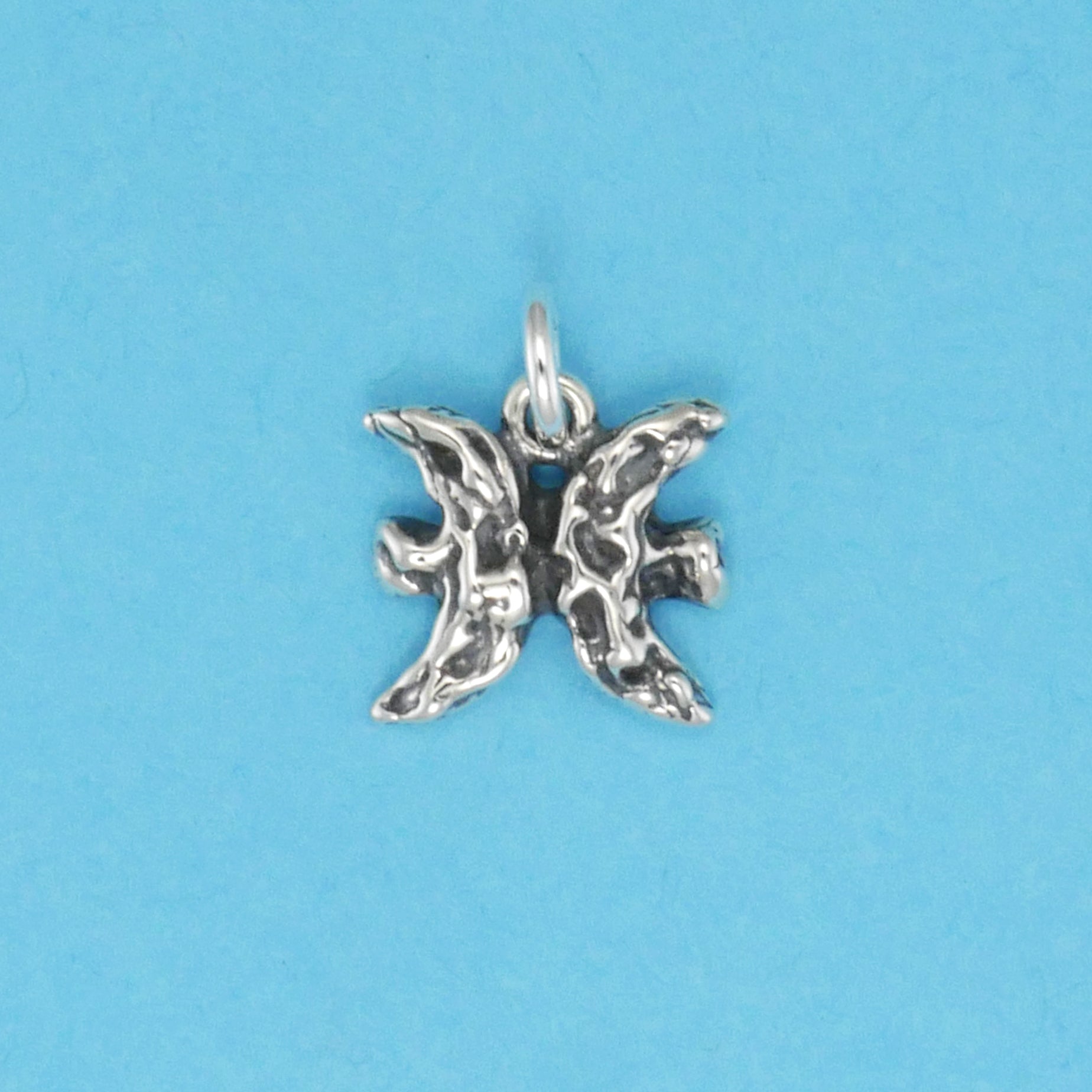 Textured Zodiac Charms - Charmworks