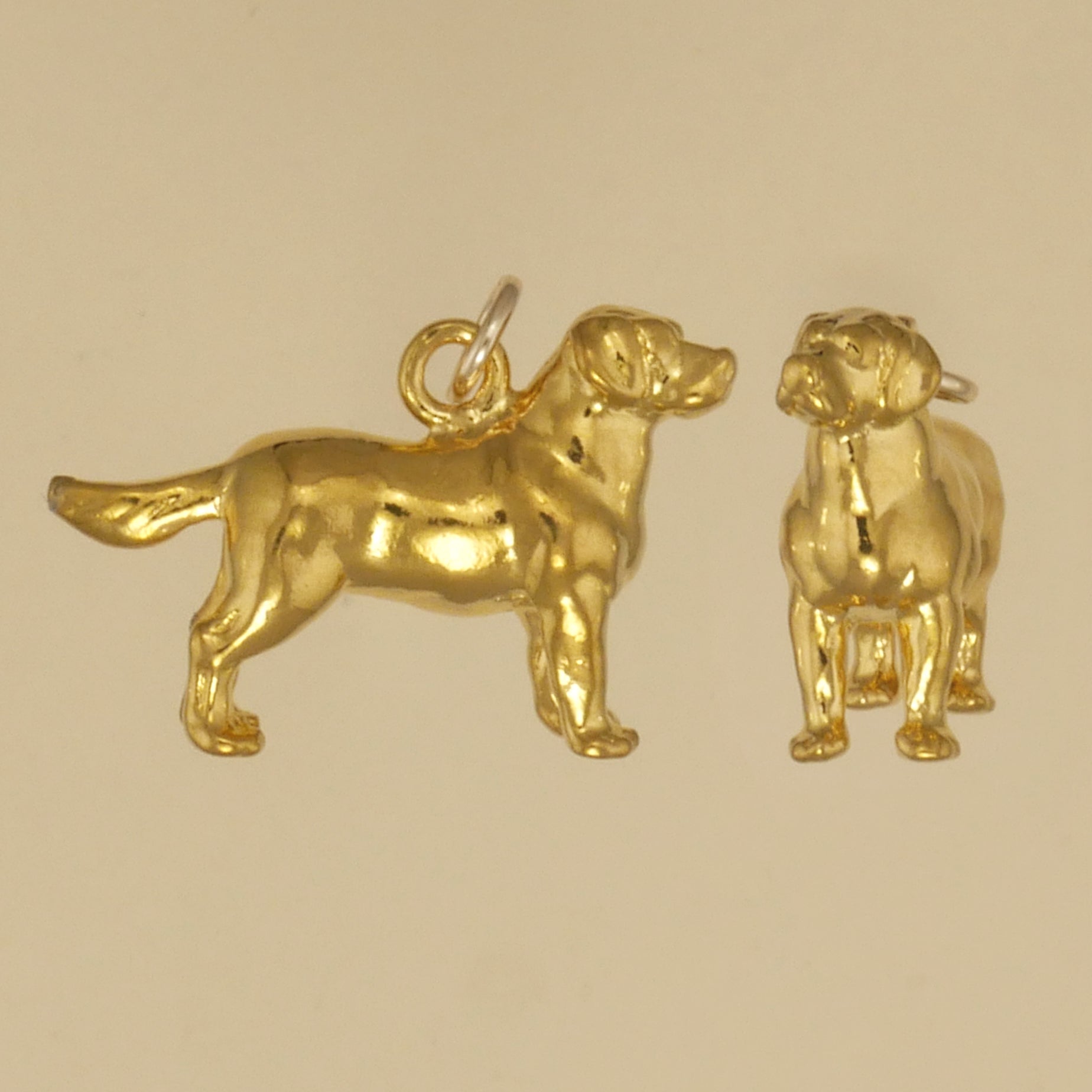 Xanadu Designs Antiqued Silver Plated Labrador Retriever Dog Charms - Choose Qty (5, 10, 20pcs)