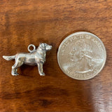 Labrador Retriever - Charmworks