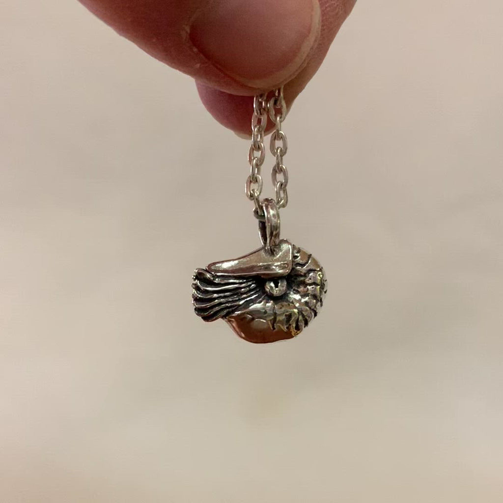 Small Nautilus Pendant - Charmworks