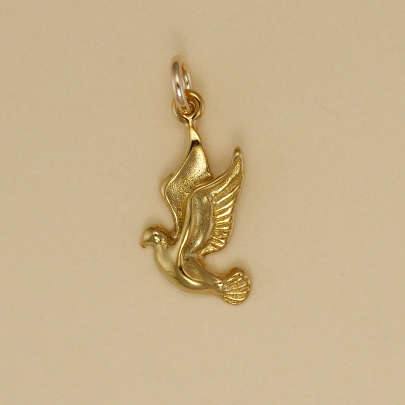 Landing Dove Charm - Charmworks
