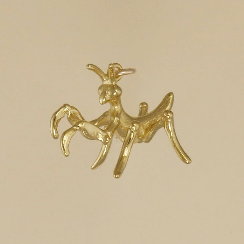 Praying Mantis Baby Charm - Charmworks