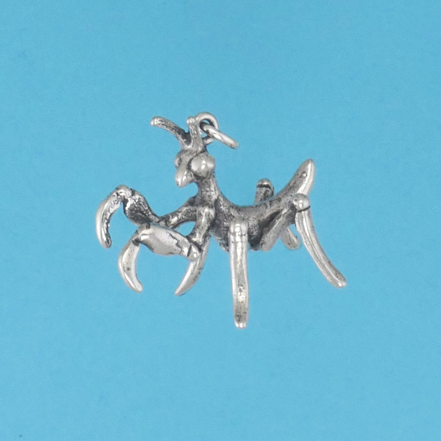 Praying Mantis Baby Charm - Charmworks