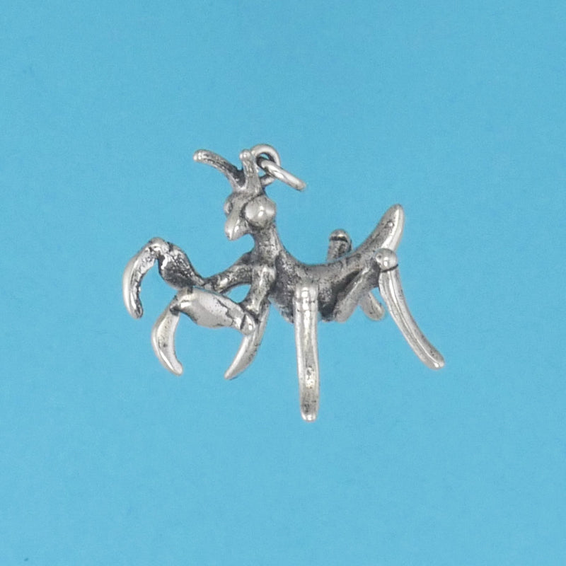 Praying Mantis Baby Charm - Charmworks