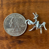 Praying Mantis Baby - Charmworks