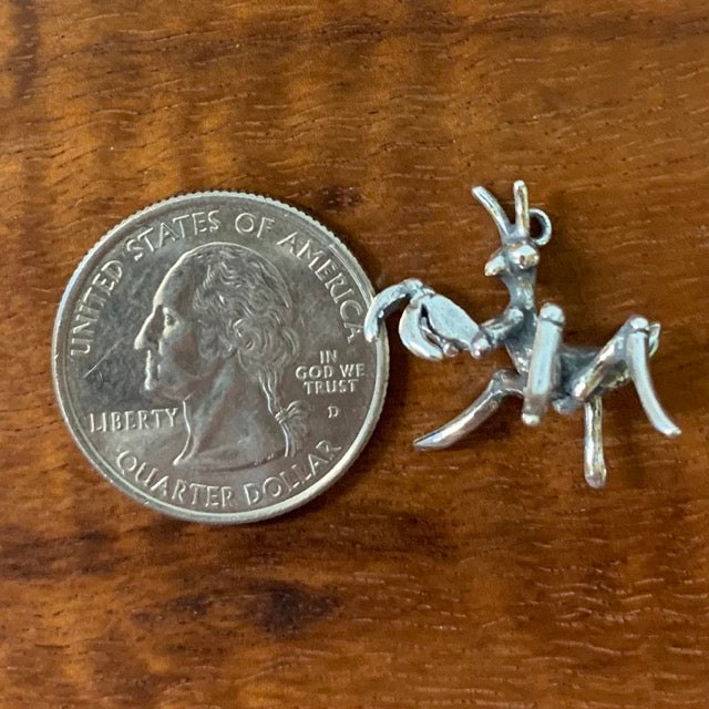 Praying Mantis Baby - Charmworks